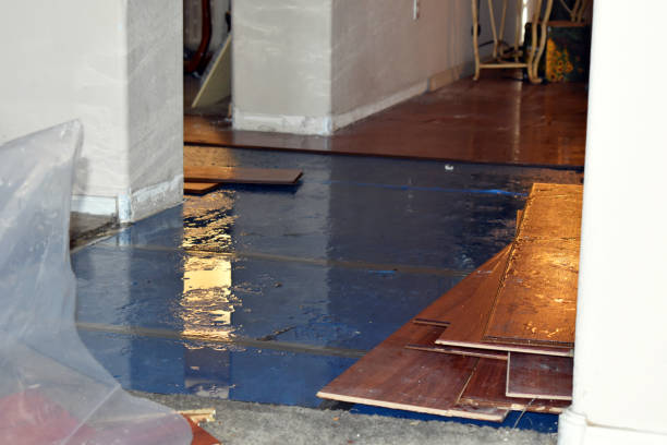 Professional Burst Pipe Cleanup technician working in Forest Park, IL
